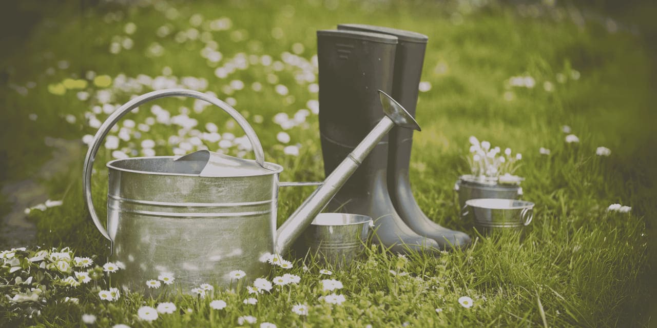 Contractor's Corner: Get a Jump on Spring With Smart Yard Prep
