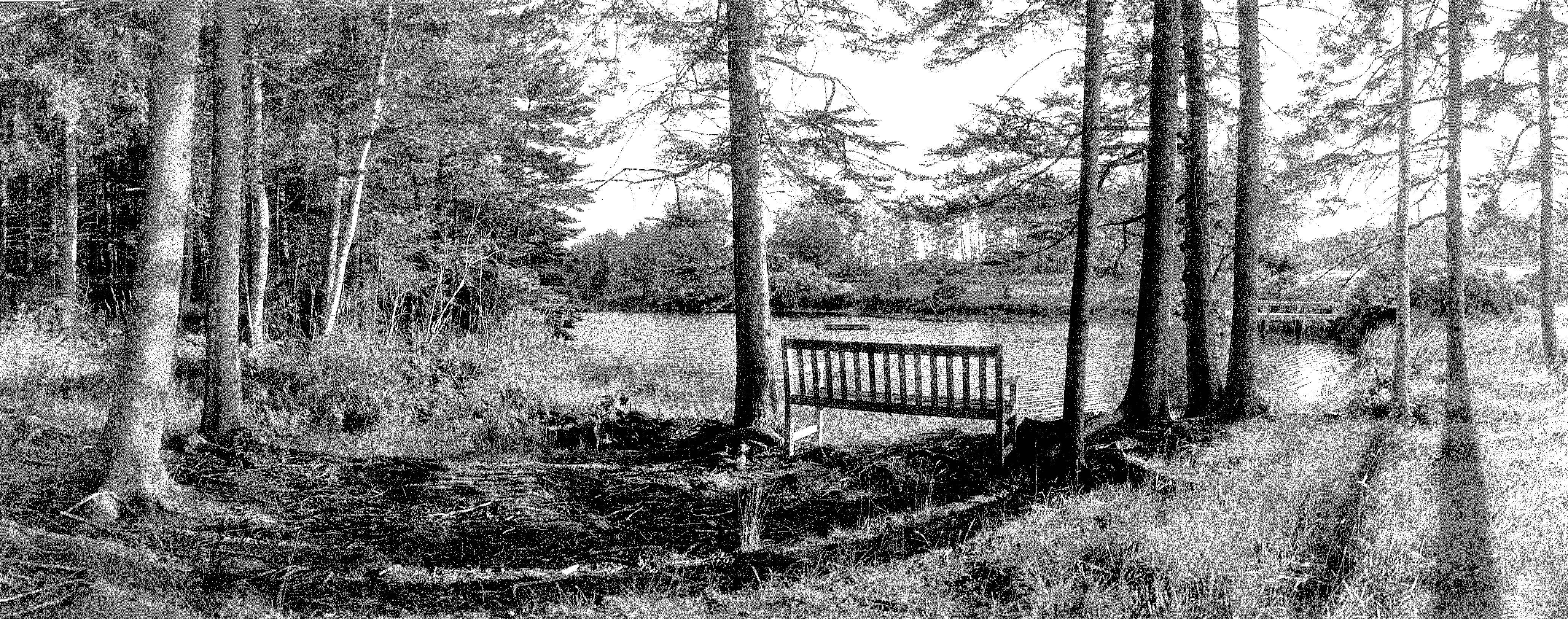By Shore Pond