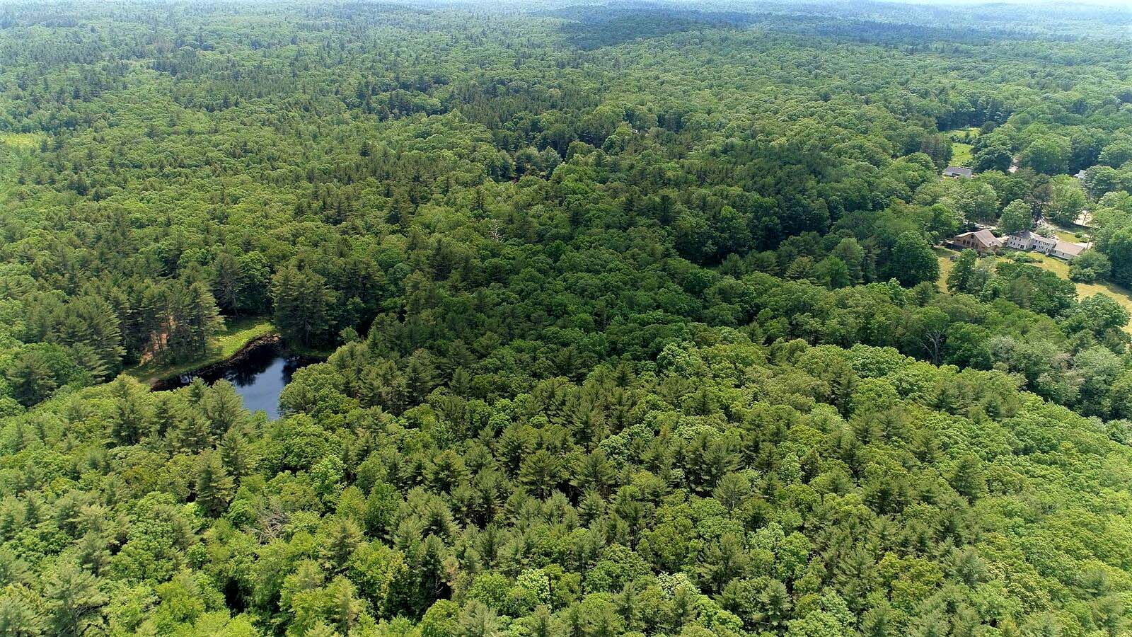 Still River Cafe aerial