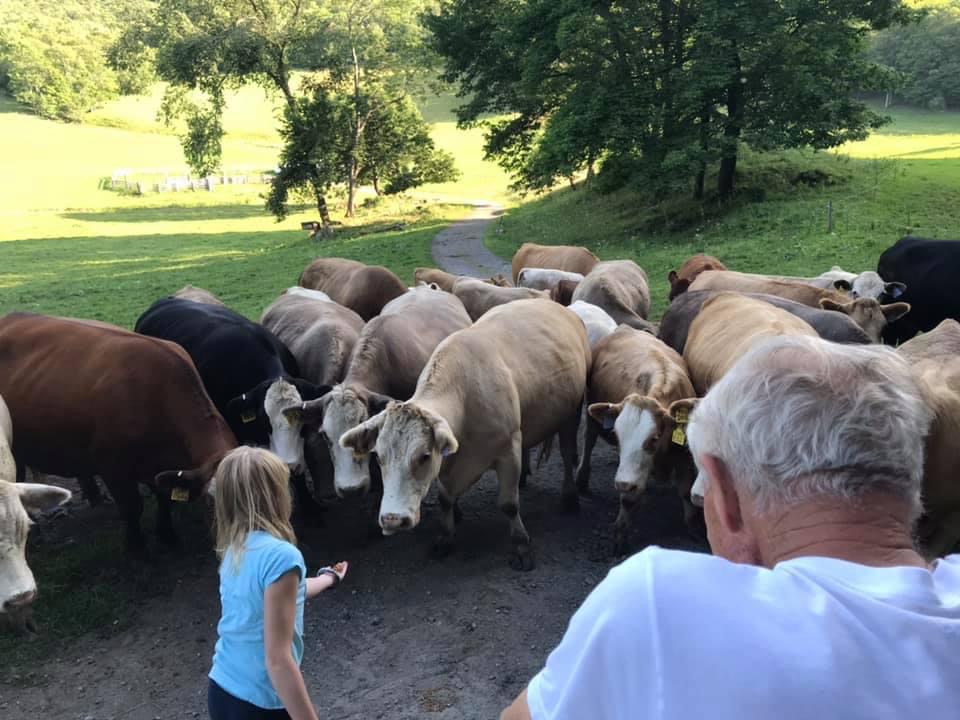 O.L. St. John Farm. For sale by Story Jenks at Landvest.com