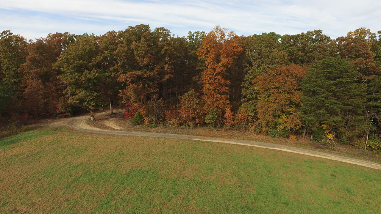 Oakley Forest