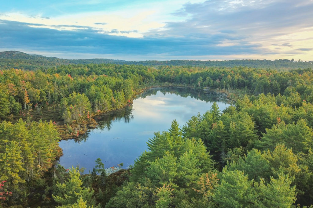 BEAR POND