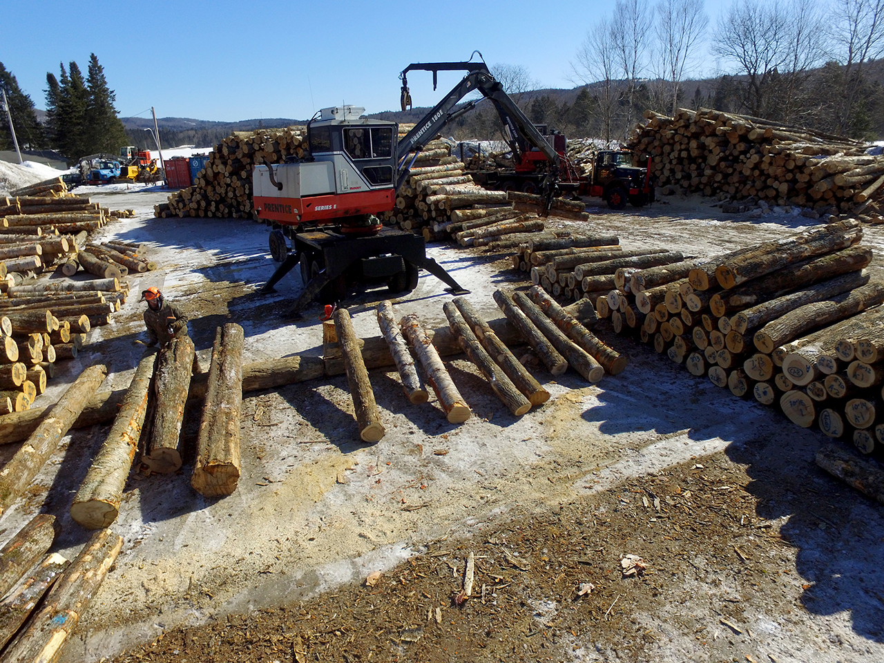 forest management DCIM103MEDIADJI_0017.JPG