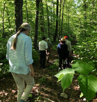 land stewardship