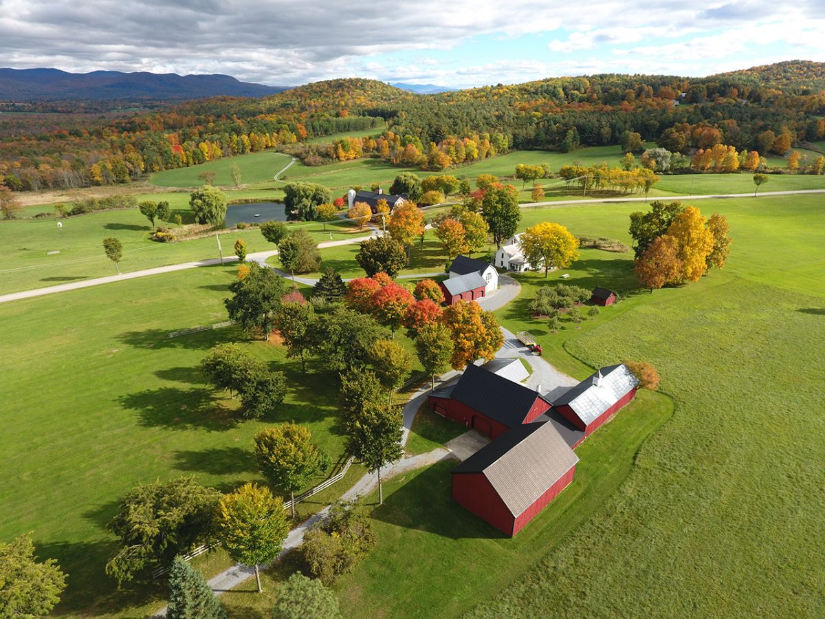 Green range Farm, Maple sugaring