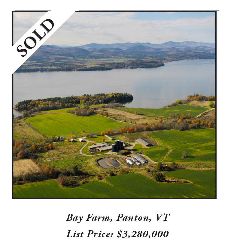 Bay Farm