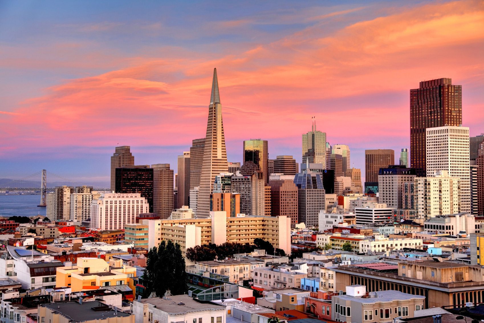 sf-pink
