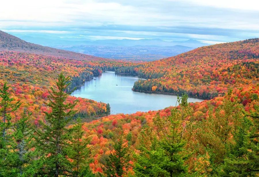 Panoramic view of Groton national forest in Vermont