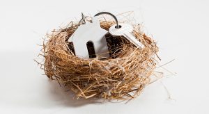 House keys in a birds nest