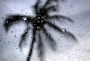 Rain on Window