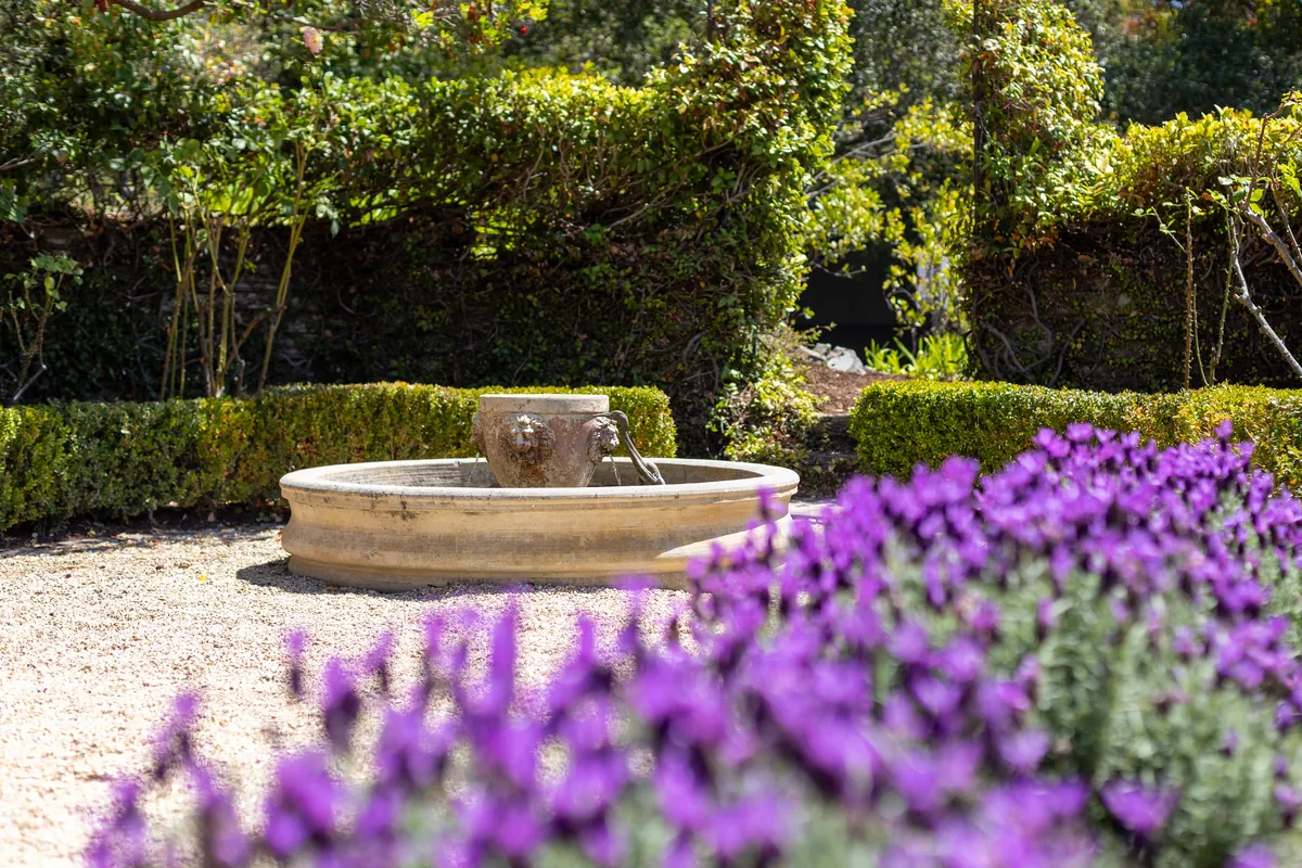 Garden courtyard with a stone fountain, lavender in bloom, and trimmed hedges