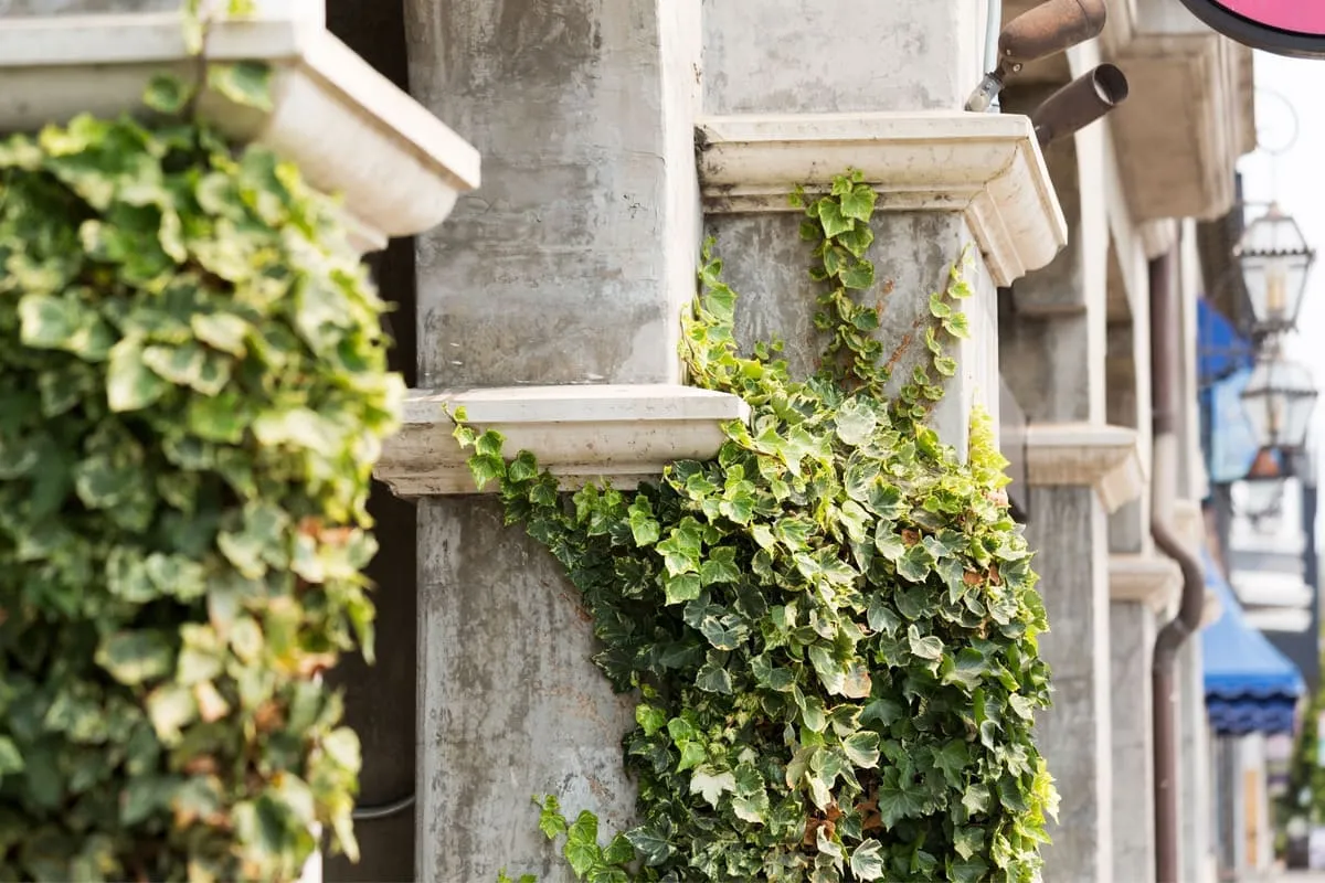 August and All About Condos