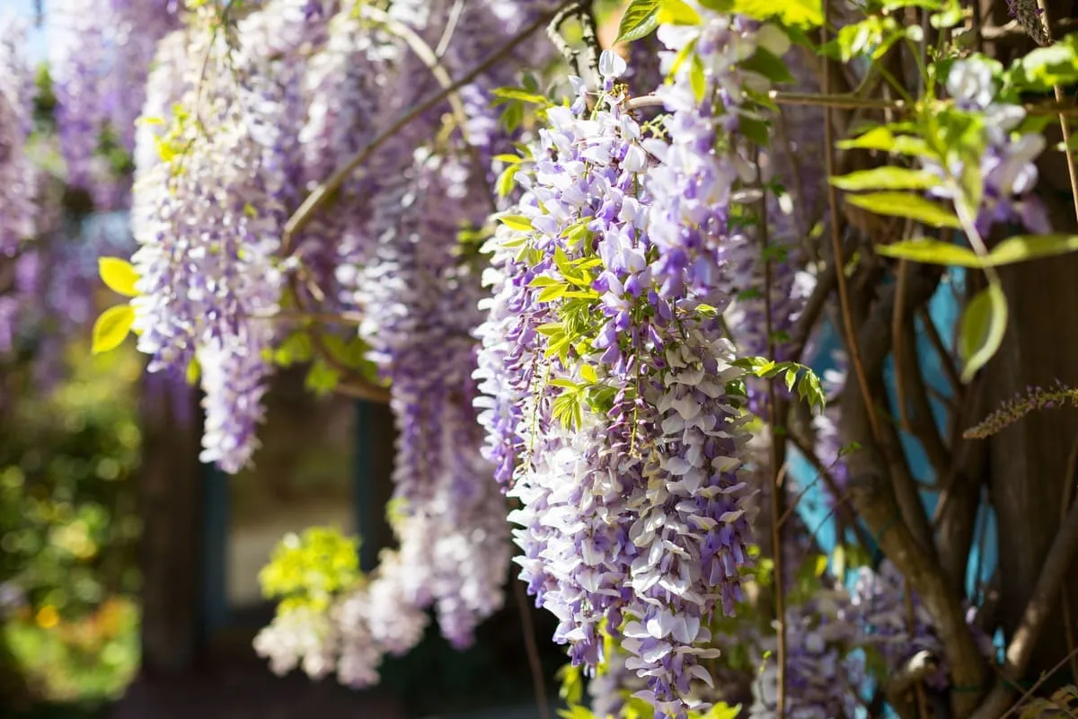 The market from January 1 through March 31, 2021