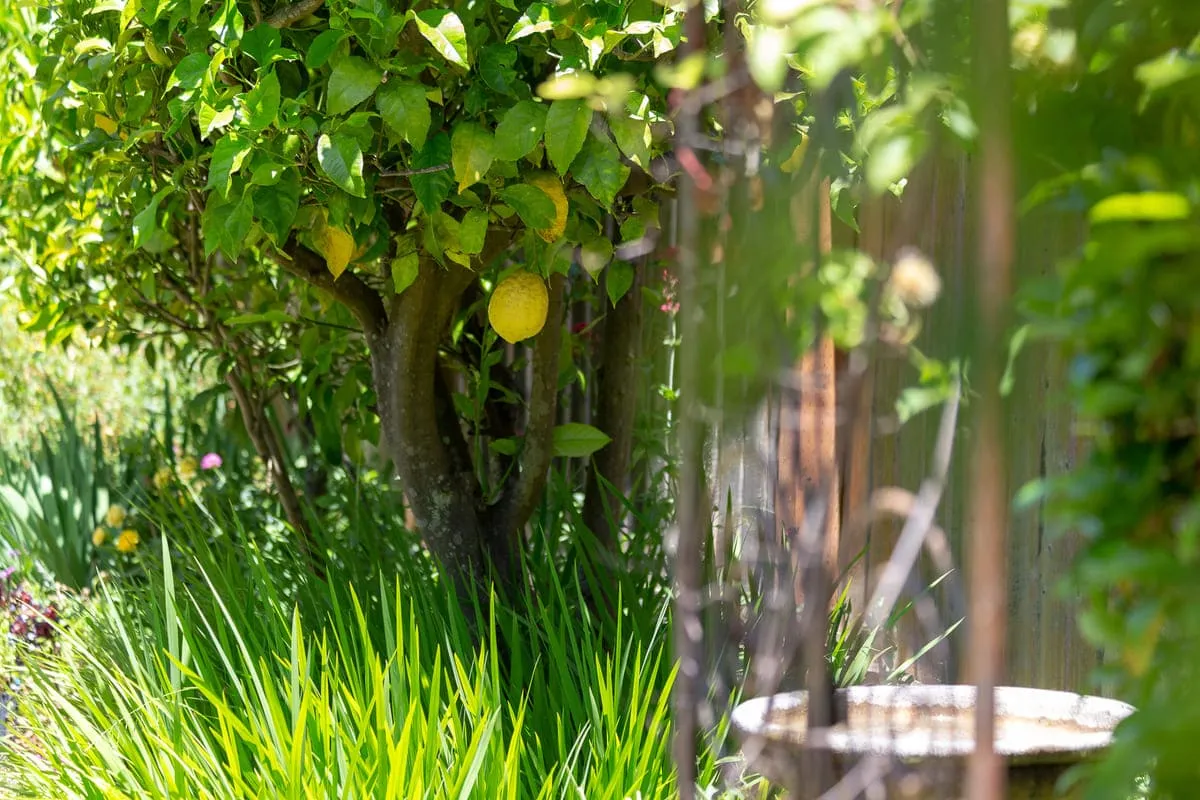 What to expect on August 17th header image.