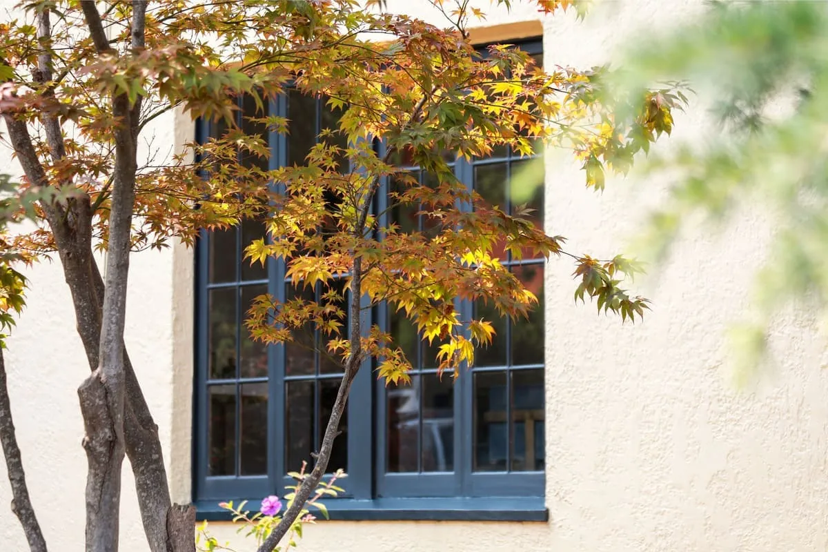 The market from January through June 30, 2021