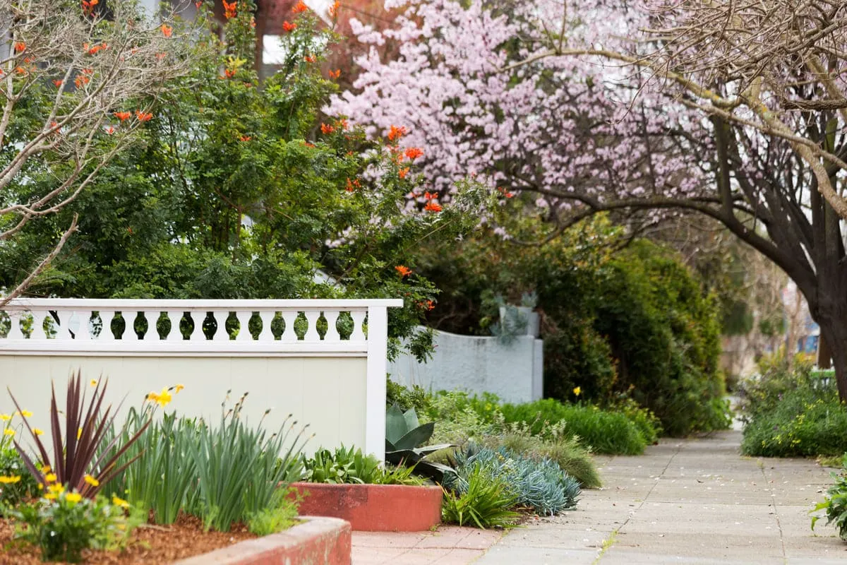 Neighborhood street with flowers