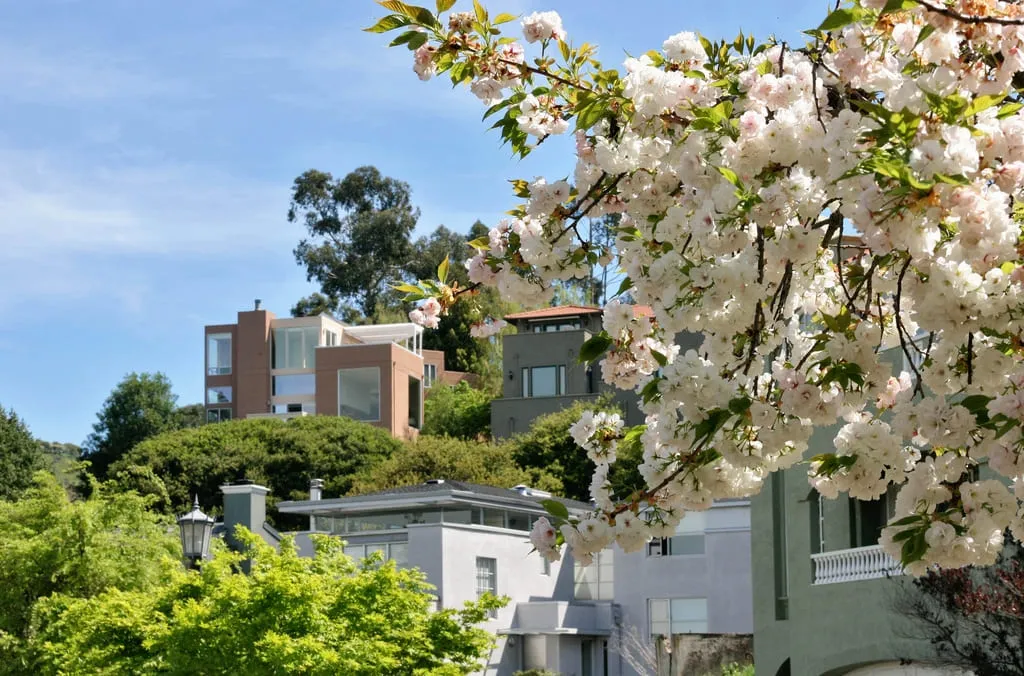 WHAT SHOULD WE KNOW ABOUT REAL ESTATE NOW?