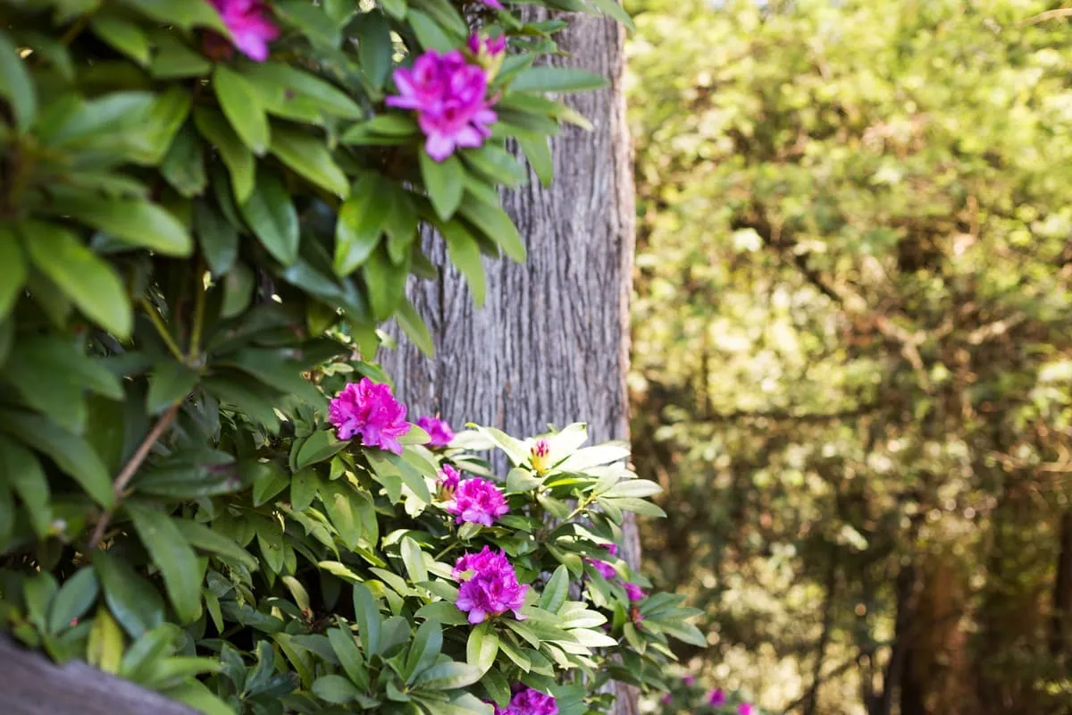 The market from through April 30, 2021