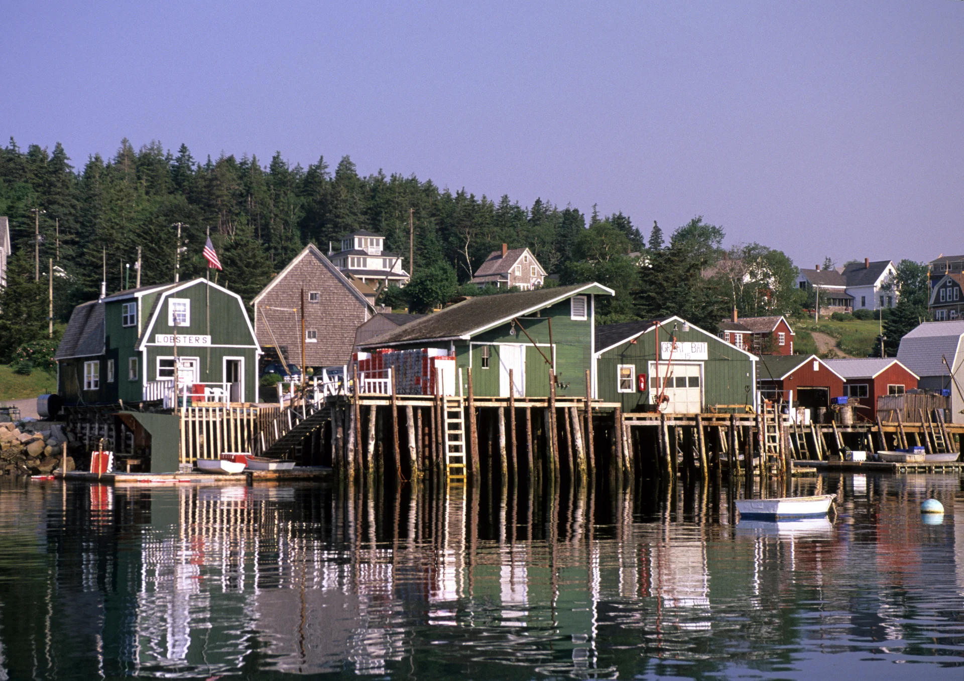 Swans island