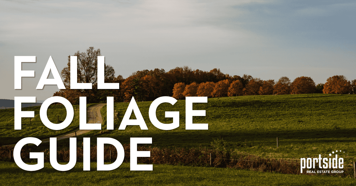 Fall Foliage Guide