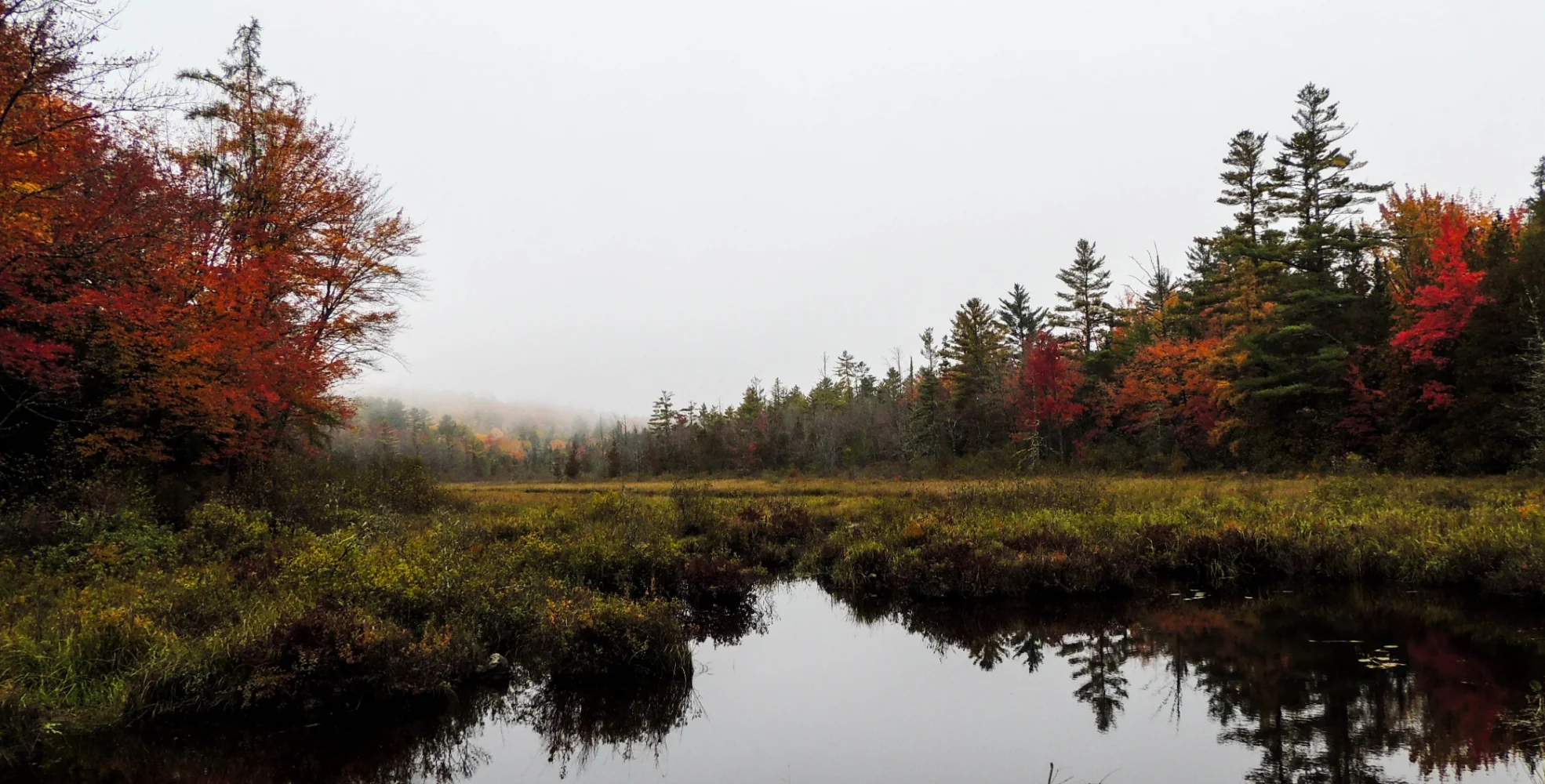 Central Maine + Belgrade Lakes