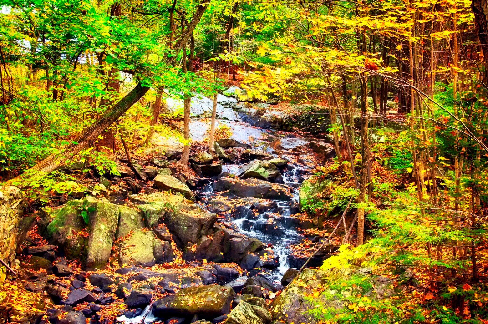 A rocky stream running through fall foliage in the woods in Oxford, CT