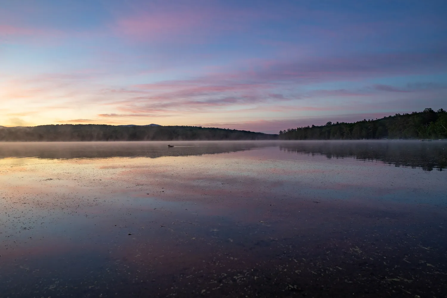 Canaan NH
