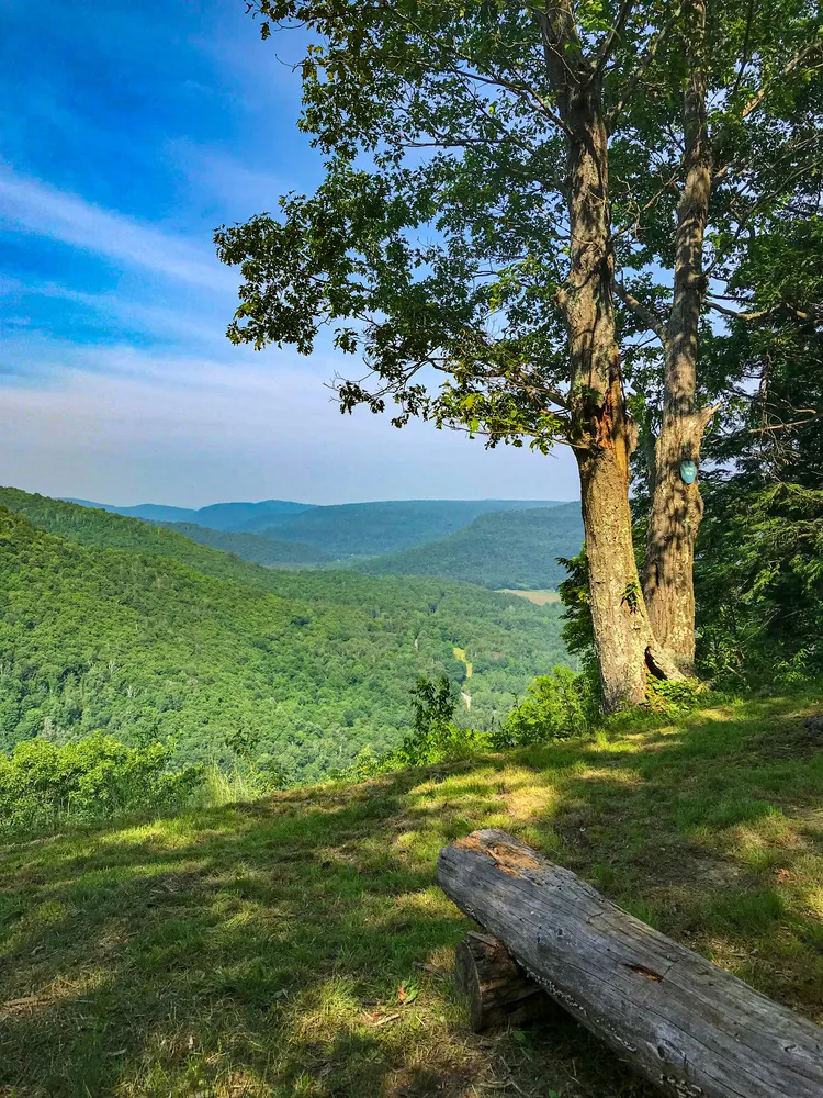 Unity NH