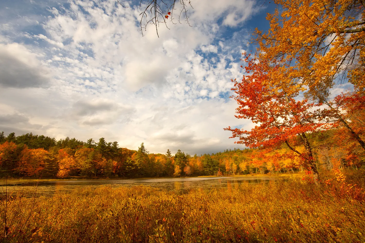 Wilmot NH