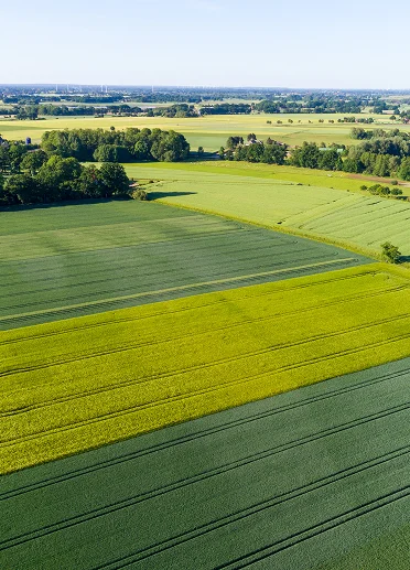 Land View