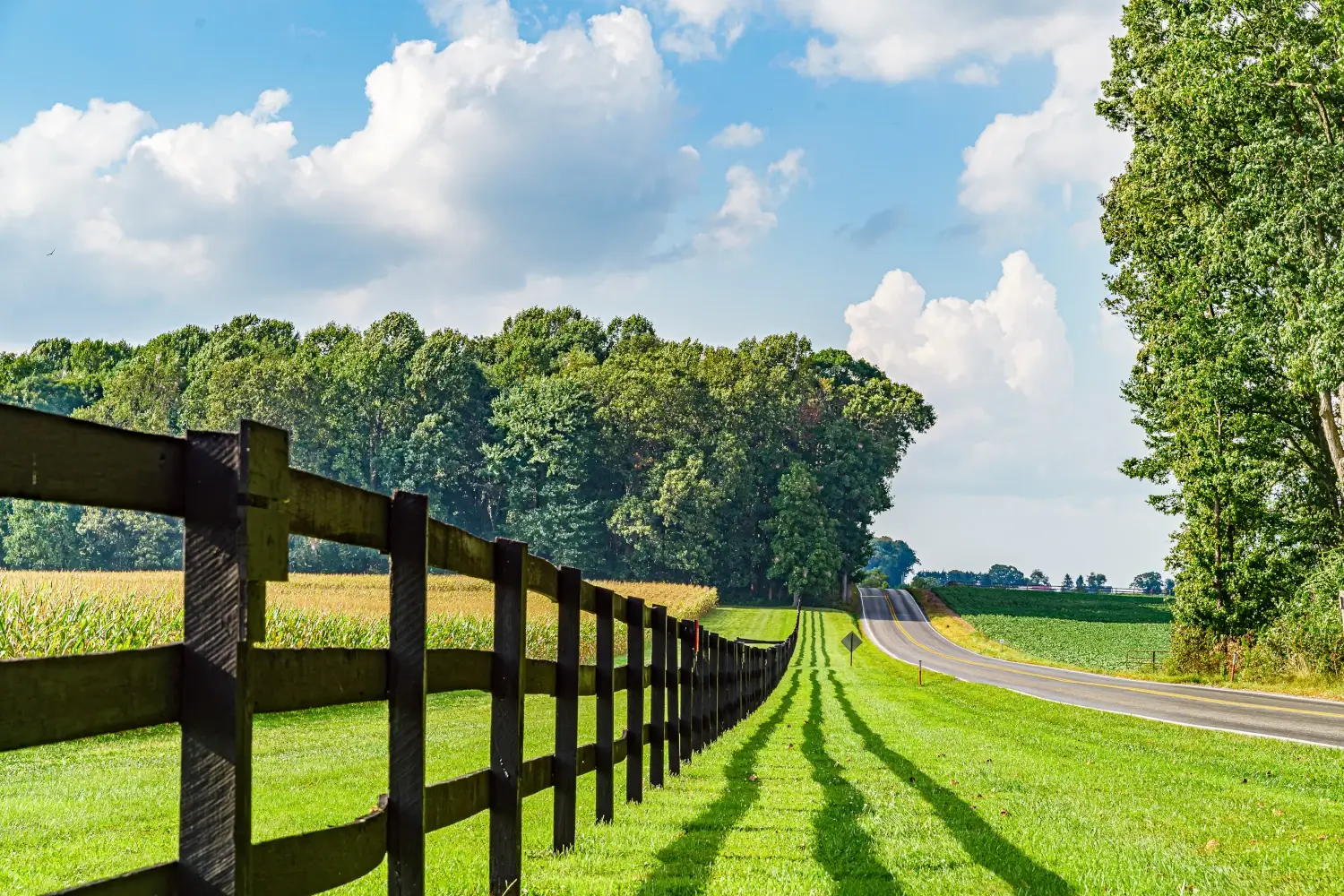 real estate agent holding house key to his client after signing contract,concept for real estate, moving home or renting property
