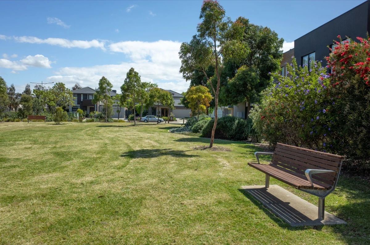 Community park green space, trees, recreation