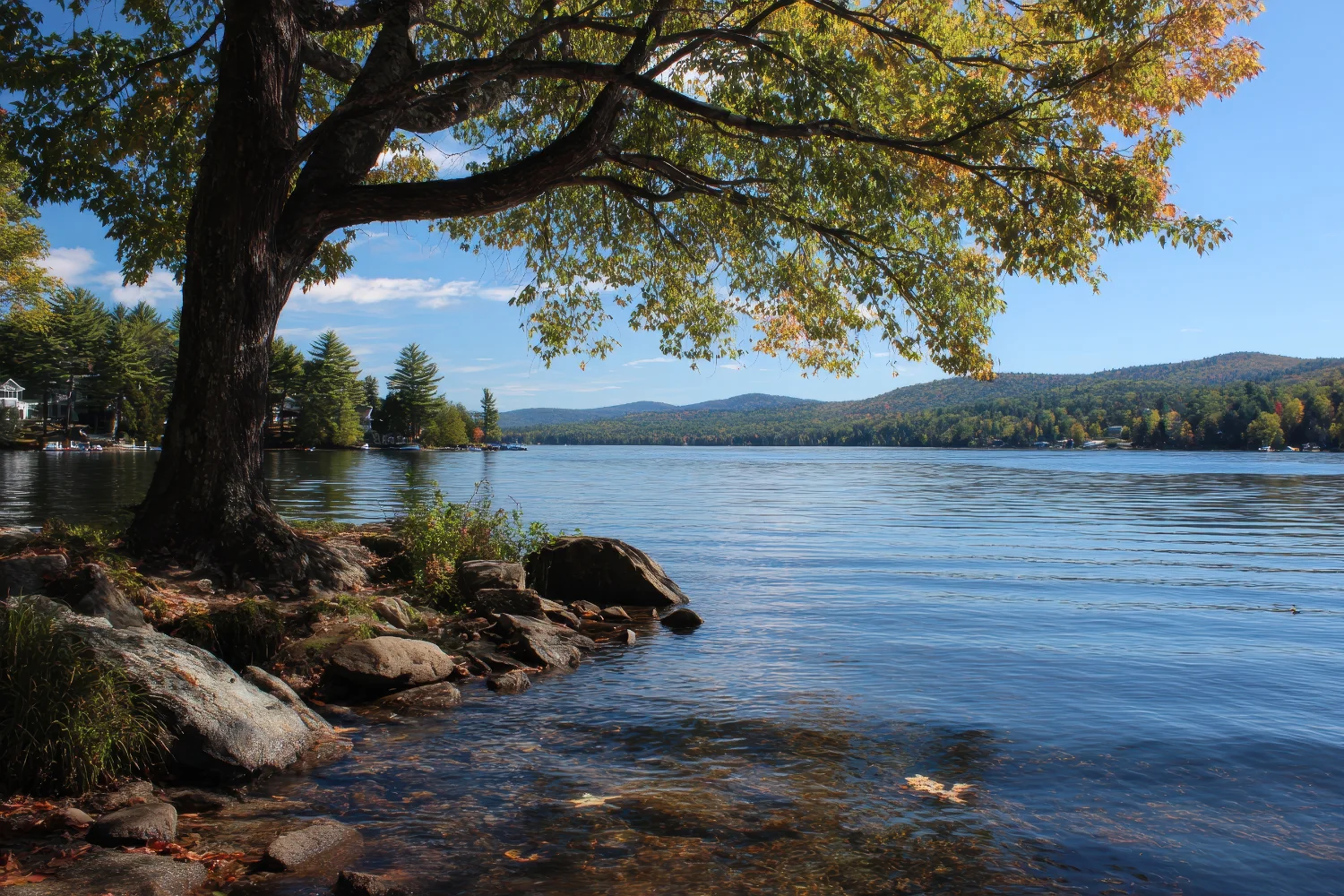 Sunapee NH