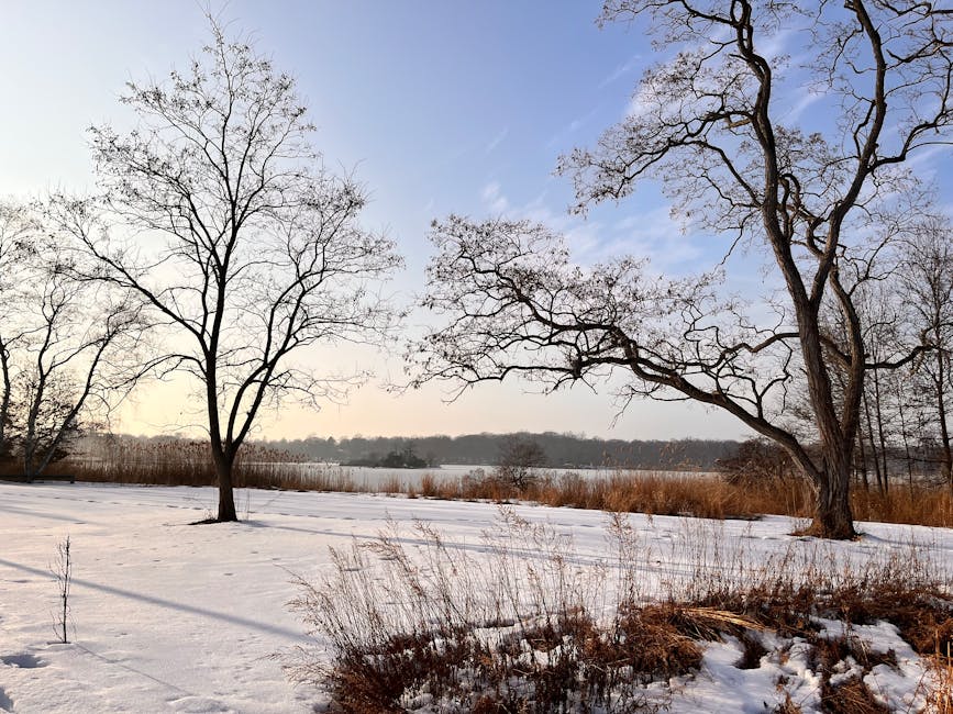 Canaan NH Real Estate