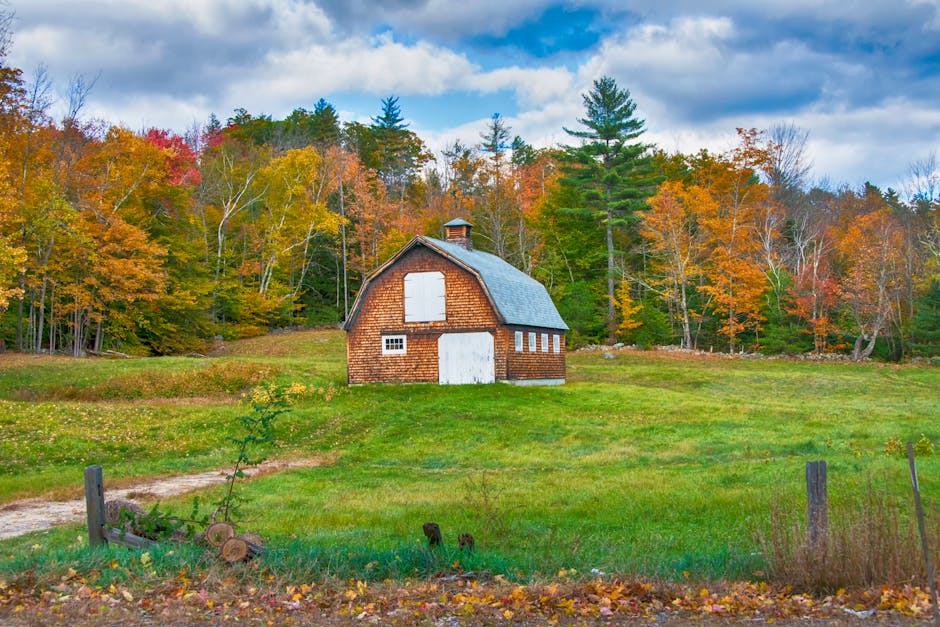 Enfield NH