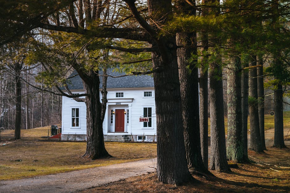 Newbury NH