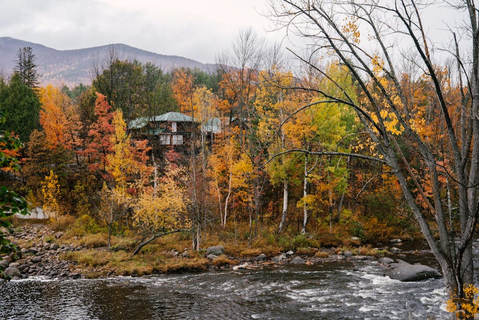 Sutton NH Real Estate