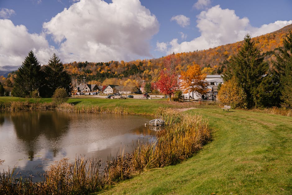 Woodstock
