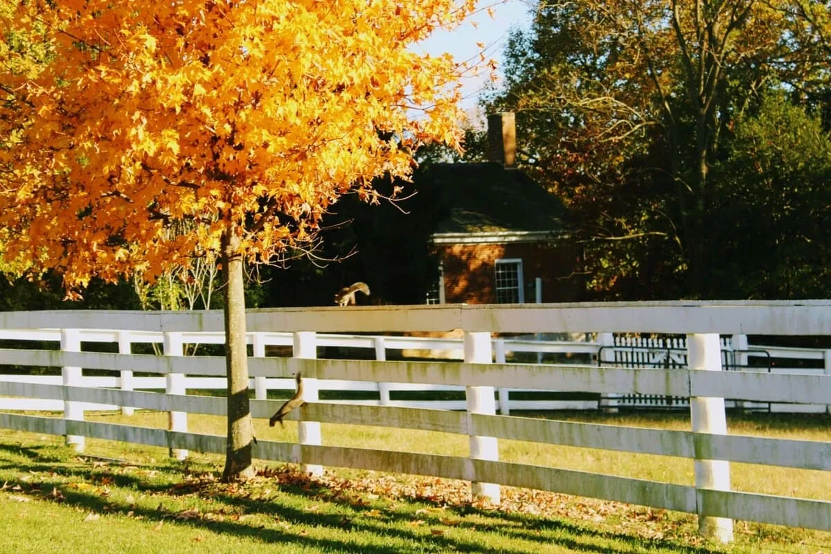 Danville Real Estate