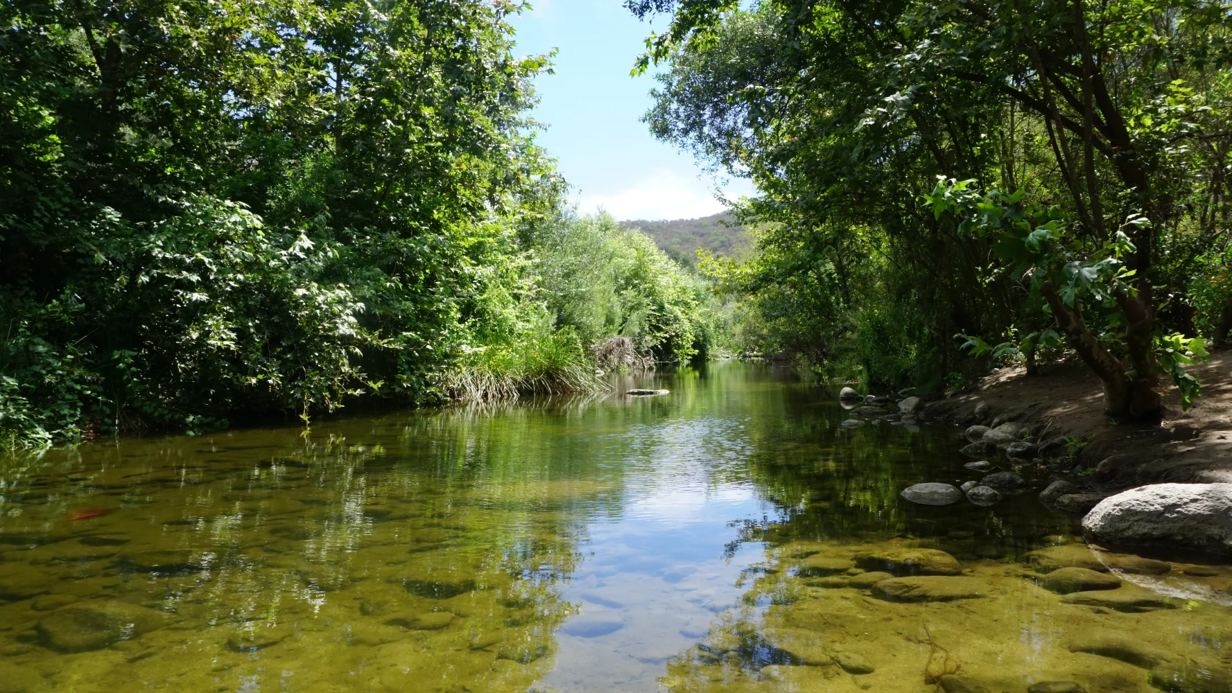Paddling on the Saco River
