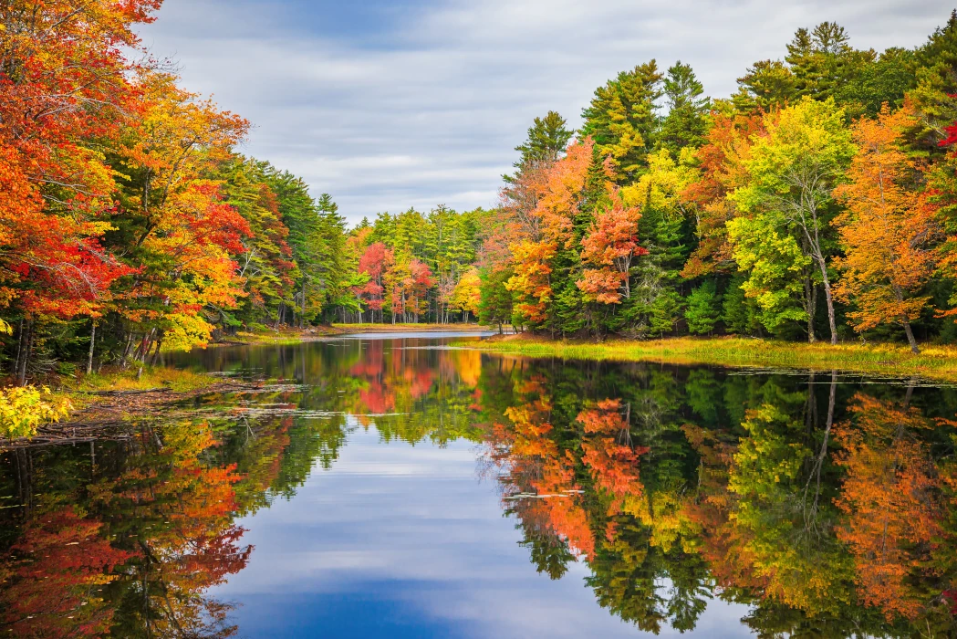 Lake