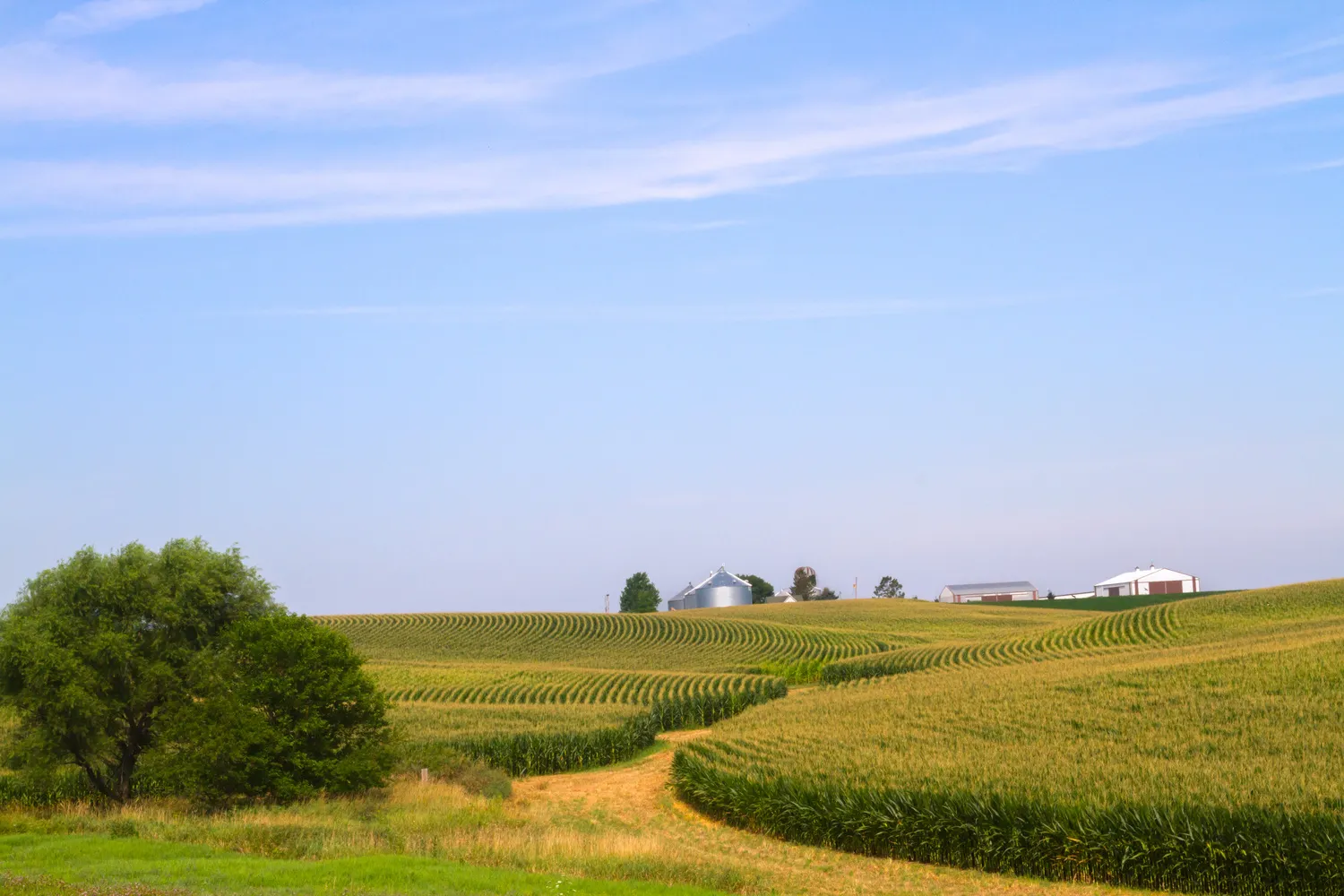 Palo Iowa