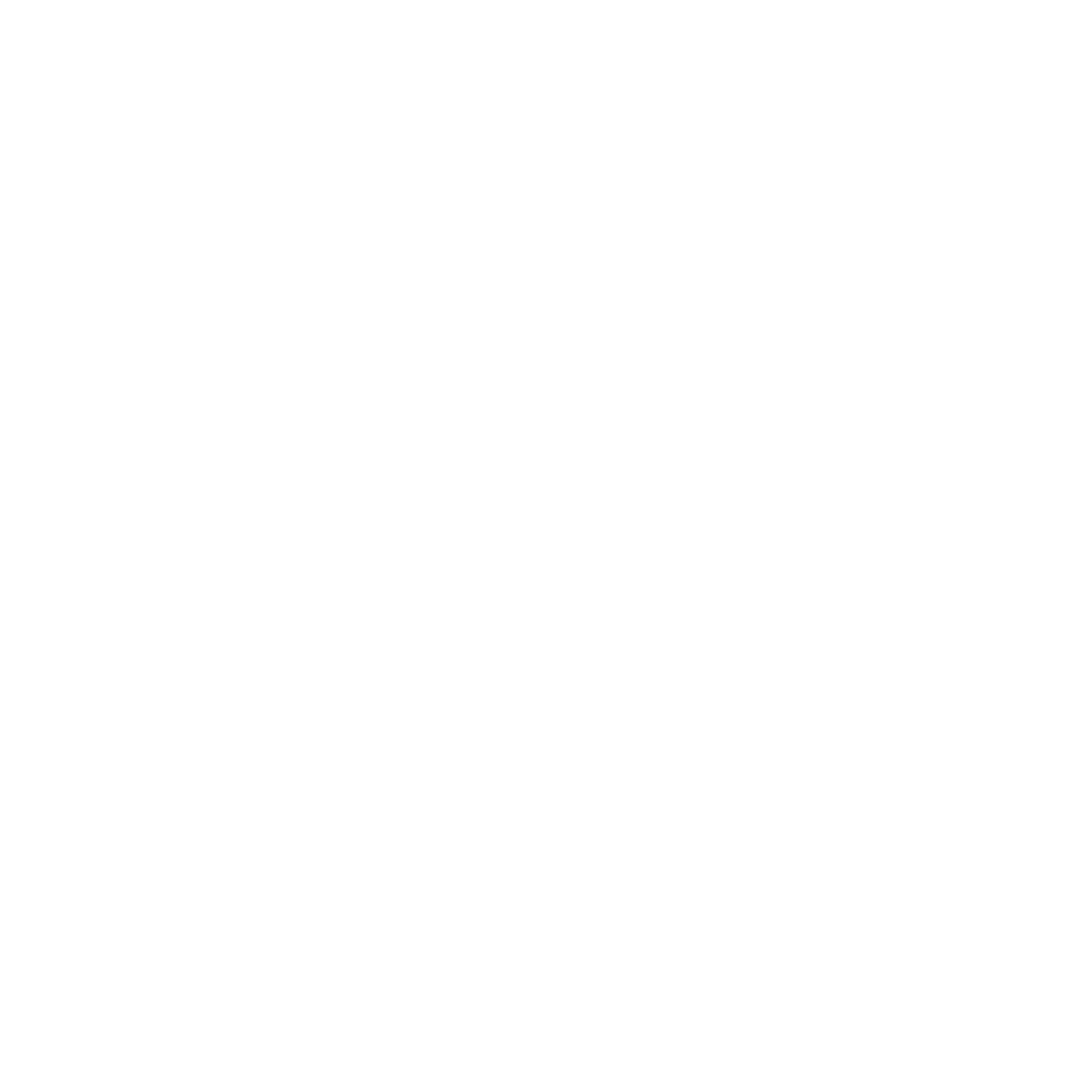 Vera Perner logo