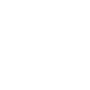 Lots & Land Icon