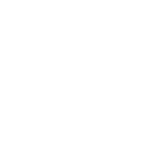 Subdivision Icon