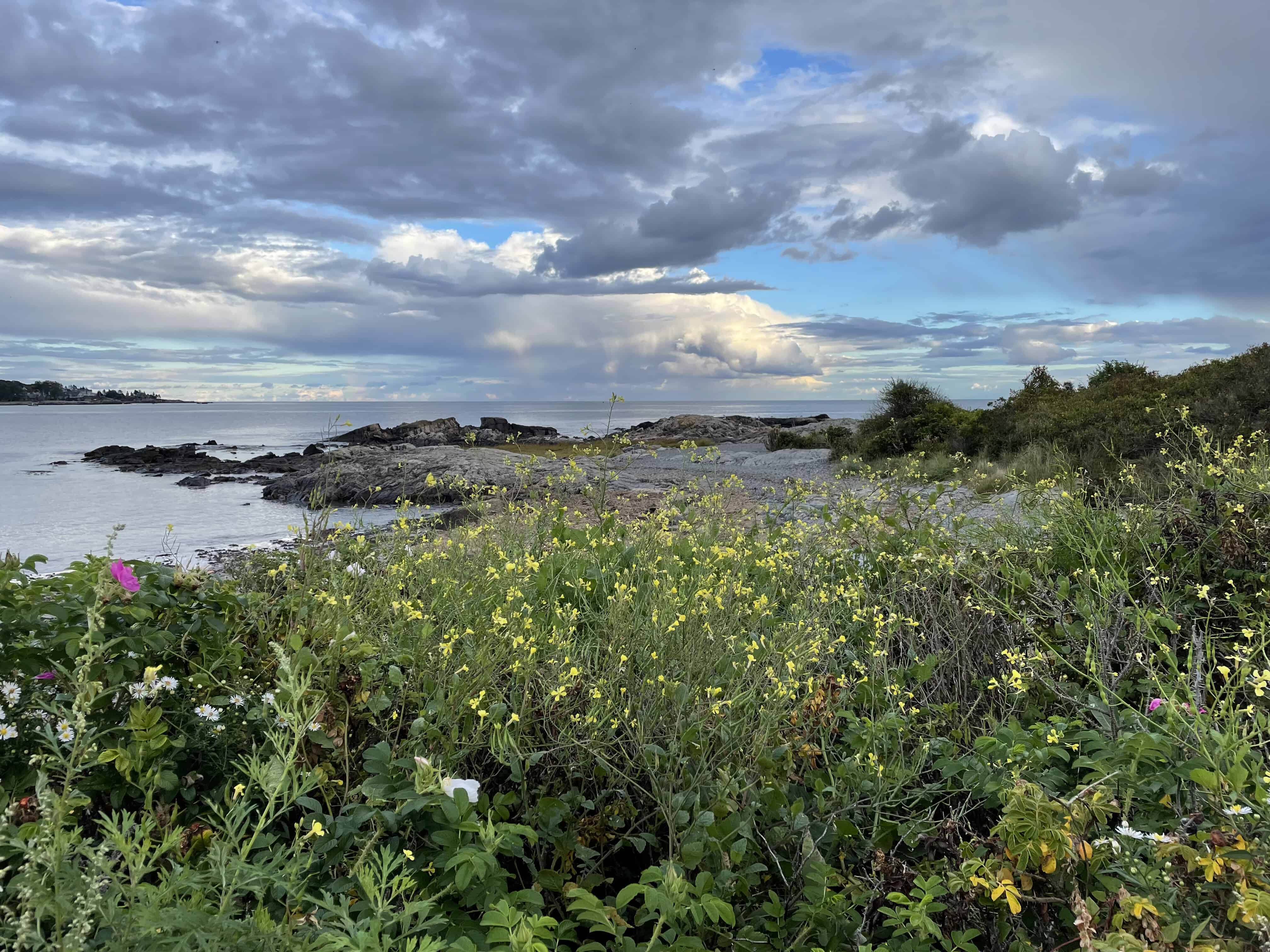 Middle Beach