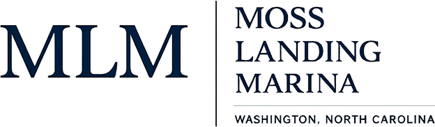 MLM Logo