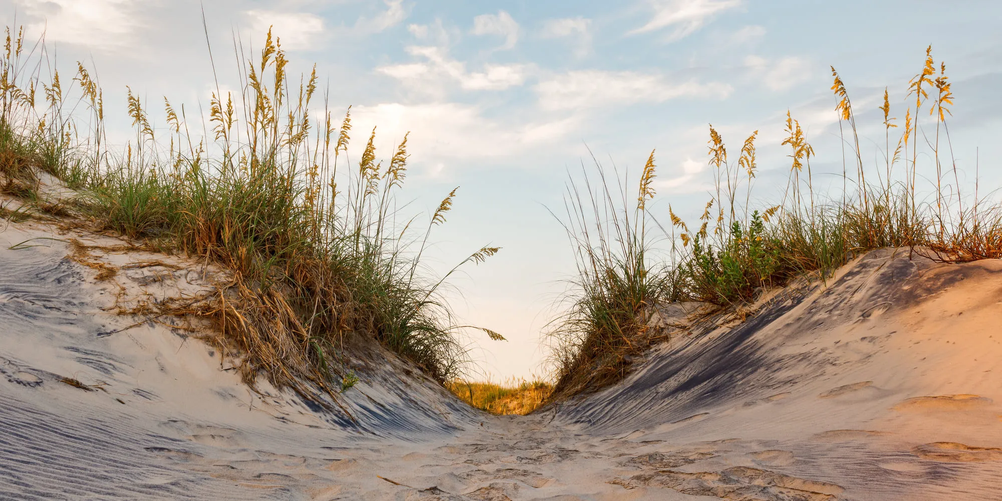 Morehead City