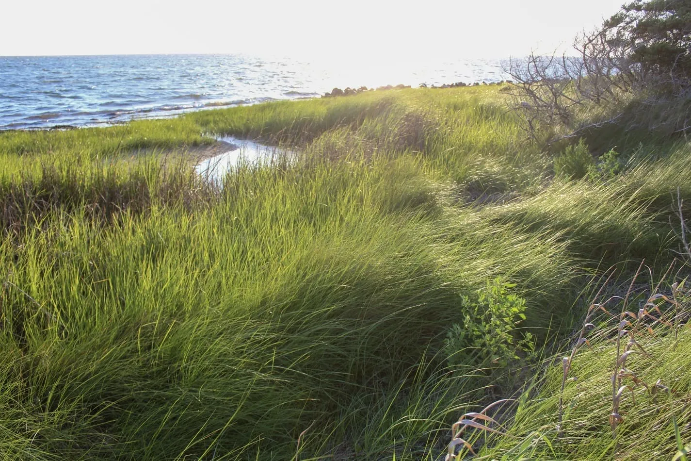 Ocracoke, NC
