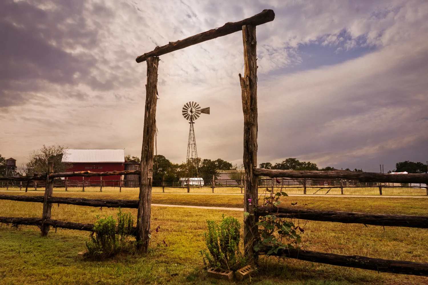 Olmos Park